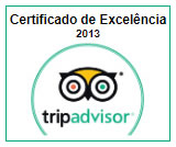 TripAdvisor 2013